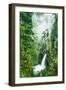 Dreamy Metlako and Fog in Spring, Waterfall Columbia River Gorge, Oregon-Vincent James-Framed Photographic Print