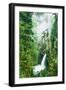 Dreamy Metlako and Fog in Spring, Waterfall Columbia River Gorge, Oregon-Vincent James-Framed Photographic Print