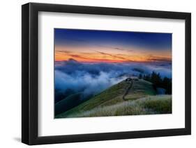 Dreamy Mood and Fog at Sunset, Marin County, San Francisco California-Vincent James-Framed Photographic Print