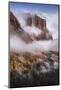 Dreamy Morning at El Capitan, Yosemite Valley-Vincent James-Mounted Photographic Print