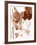 Dreamy Orchids I-Ily Szilagyi-Framed Giclee Print