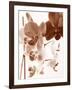 Dreamy Orchids I-Ily Szilagyi-Framed Giclee Print