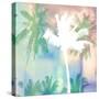 Dreamy Palm Trees-Evangeline Taylor-Stretched Canvas