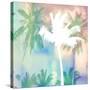 Dreamy Palm Trees-Evangeline Taylor-Stretched Canvas