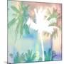 Dreamy Palm Trees-Evangeline Taylor-Mounted Art Print