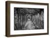 Dreamy Pathway-null-Framed Photographic Print