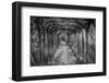 Dreamy Pathway-null-Framed Photographic Print