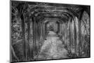 Wood Mount