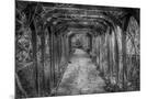 Wood Mount