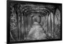 Gramercy Black