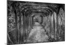 Wood Mount