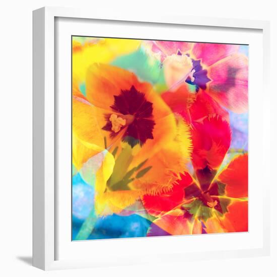 Dreamy Photographic Layer Work from Tulips-Alaya Gadeh-Framed Photographic Print