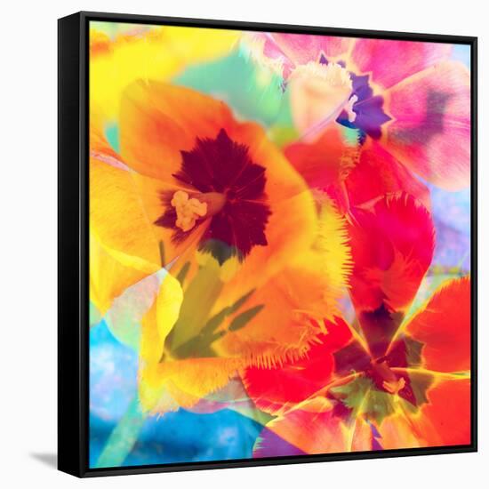 Dreamy Photographic Layer Work from Tulips-Alaya Gadeh-Framed Stretched Canvas