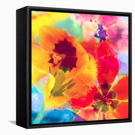 Dreamy Photographic Layer Work from Tulips-Alaya Gadeh-Framed Stretched Canvas