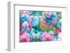 Dreamy Photographic Layer Work of Flowers, Floral Montage-Alaya Gadeh-Framed Photographic Print