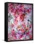 Dreamy Photographic Layer Work of Red Roses-Alaya Gadeh-Framed Stretched Canvas