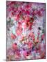 Dreamy Photographic Layer Work of Red Roses-Alaya Gadeh-Mounted Photographic Print