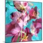 Dreamy Pink Blooming Miltonia Orchid and Phaleaonopsis Infront of Light Blue Backgound-Alaya Gadeh-Mounted Photographic Print