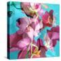 Dreamy Pink Blooming Miltonia Orchid and Phaleaonopsis Infront of Light Blue Backgound-Alaya Gadeh-Stretched Canvas