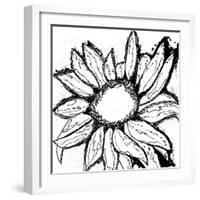 Dreamy Sunflower-Laura Miller-Framed Giclee Print