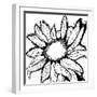 Dreamy Sunflower-Laura Miller-Framed Giclee Print