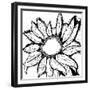 Dreamy Sunflower-Laura Miller-Framed Giclee Print