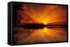 Dreamy Sunset in Swampy Waters, Everglades National Park, Florida, USA-Jerry Ginsberg-Framed Stretched Canvas