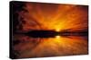 Dreamy Sunset in Swampy Waters, Everglades National Park, Florida, USA-Jerry Ginsberg-Stretched Canvas