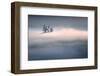 Dreamy-Sandi Bertoncelj-Framed Photographic Print