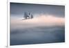 Dreamy-Sandi Bertoncelj-Framed Photographic Print