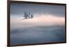 Dreamy-Sandi Bertoncelj-Framed Photographic Print