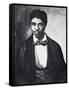 Dred Scott-null-Framed Stretched Canvas