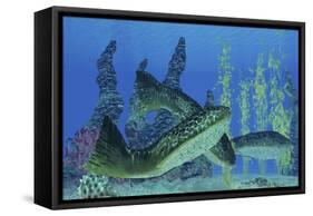 Drepanaspis Gemuendenensis, an Extinct Primitive Jawless Fish from the Devonian Period-null-Framed Stretched Canvas