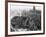 Dresden Devastated after the Allied Bombing Campaign Had Created a Firestorm-null-Framed Photographic Print