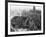 Dresden Devastated after the Allied Bombing Campaign Had Created a Firestorm-null-Framed Photographic Print