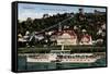 Dresden Loschwitz, Dampfer Karlsbad, Bergschwebebahn-null-Framed Stretched Canvas