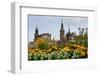 Dresden, Summer, Dresden Cathedral, Castle-Catharina Lux-Framed Photographic Print