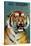 Dresden Zoo Poster With A Tiger-Dresden Zoo-Stretched Canvas