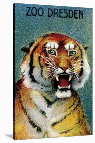 Dresden Zoo Poster With A Tiger-Dresden Zoo-Stretched Canvas