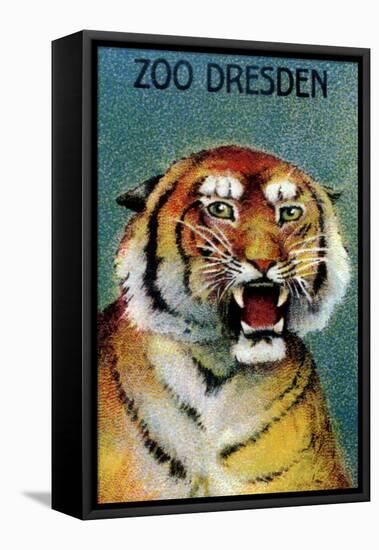 Dresden Zoo Poster With A Tiger-Dresden Zoo-Framed Stretched Canvas