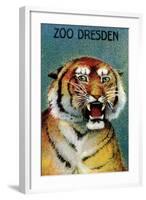 Dresden Zoo Poster With A Tiger-Dresden Zoo-Framed Art Print