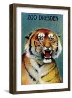 Dresden Zoo Poster With A Tiger-Dresden Zoo-Framed Art Print
