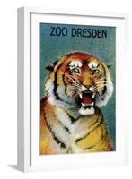 Dresden Zoo Poster With A Tiger-Dresden Zoo-Framed Art Print