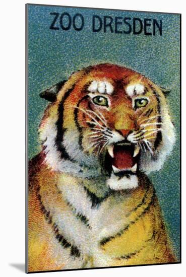 Dresden Zoo Poster With A Tiger-Dresden Zoo-Mounted Art Print