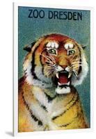 Dresden Zoo Poster With A Tiger-Dresden Zoo-Framed Art Print