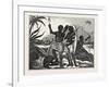 Dress and Arms of the Natives of Madagascar-null-Framed Giclee Print