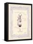 Dress Form IV-Steve Leal-Framed Stretched Canvas