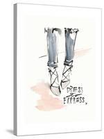 Dress to Express-Megan Swartz-Stretched Canvas