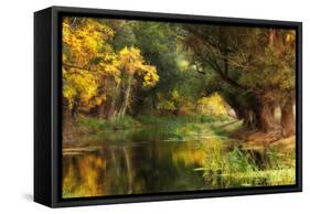 Dressed in Autumn-Jimbi-Framed Stretched Canvas