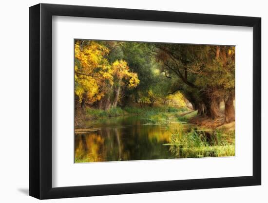 Dressed in Autumn-Jimbi-Framed Photographic Print